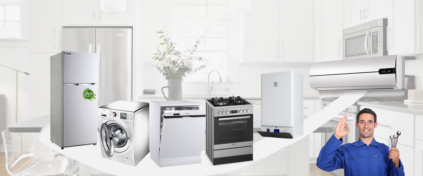 Basınsitesi Electrolux Servisi